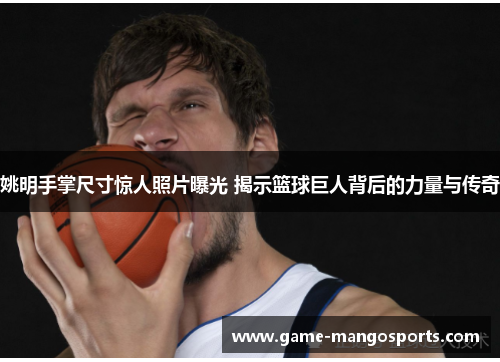 姚明手掌尺寸惊人照片曝光 揭示篮球巨人背后的力量与传奇