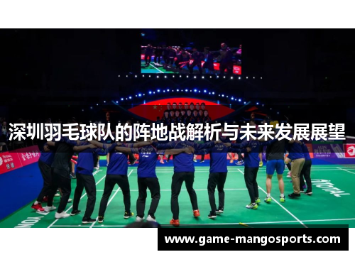 深圳羽毛球队的阵地战解析与未来发展展望