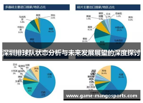 深圳排球队状态分析与未来发展展望的深度探讨